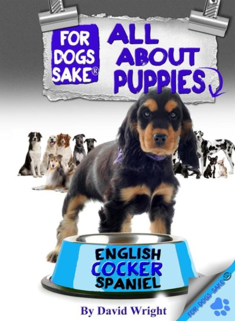 Cover image for book All About English Cocker Spaniel Puppies