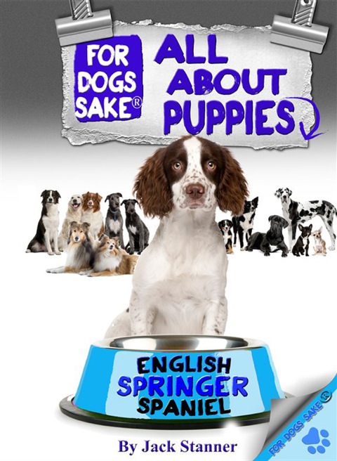 Cover image for book All About English Springer Spaniel Puppies