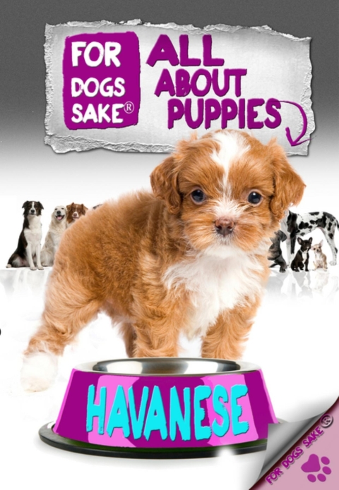 Cover image for book All About Havanese Puppies