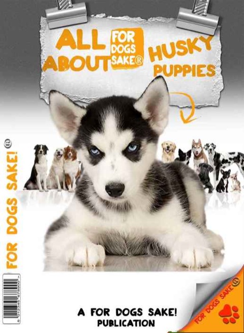 Cover image for book All About Husky Puppies