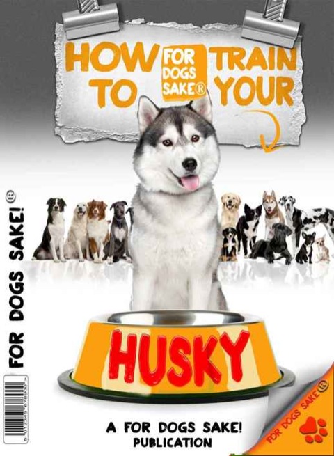 Cover image for book How to Train Your Husky