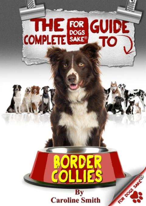Cover image for book The Complete Guide to Border Collies
