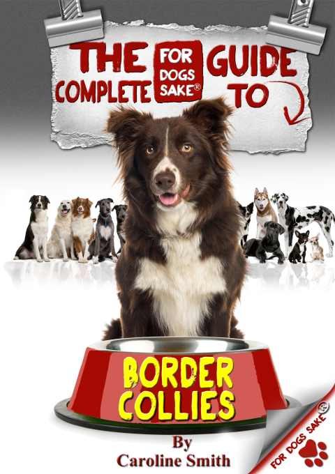 Cover image for book The Complete Guide to Border Collies