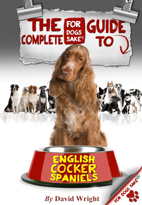 Cover image for book The Complete Guide to English Cocker Spaniels