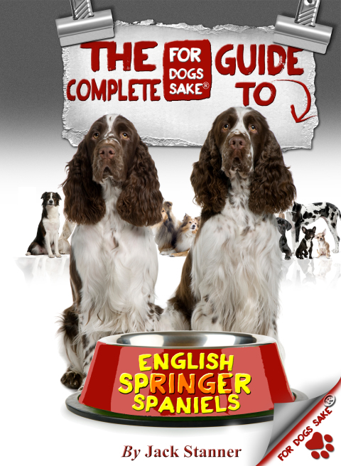 Cover image for book The Complete Guide to English Springer Spaniel