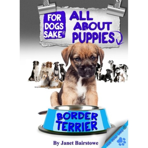 Cover image for book All About Border Terrier Puppies