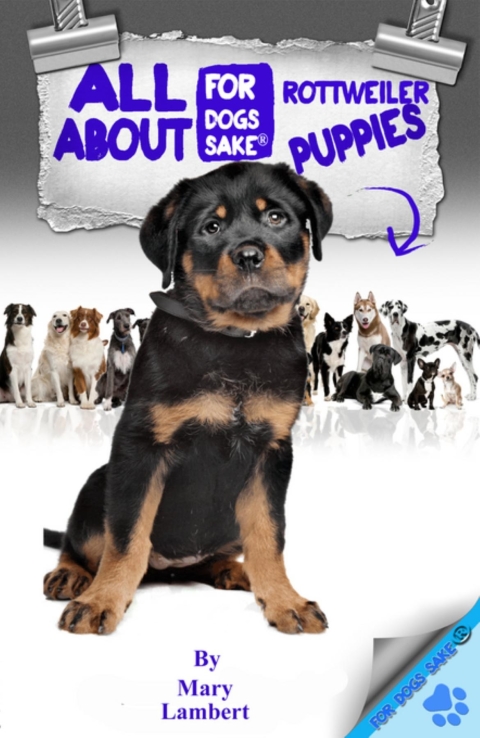 Cover image for book All About Rottweiler Puppies