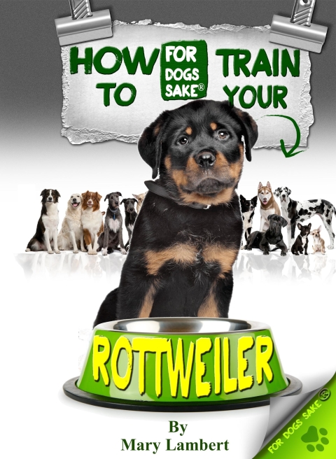 Cover image for book How to Train Your Rottweiler