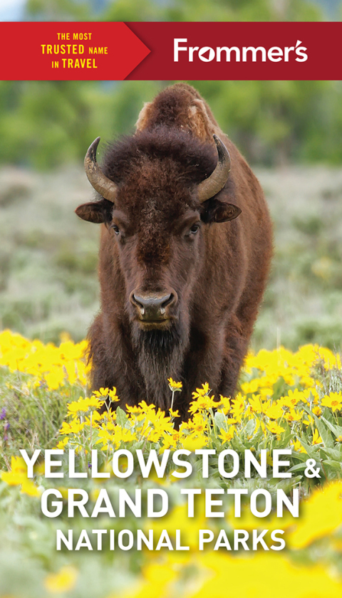 Cover image for book Frommer's Yellowstone and Grand Teton National Parks