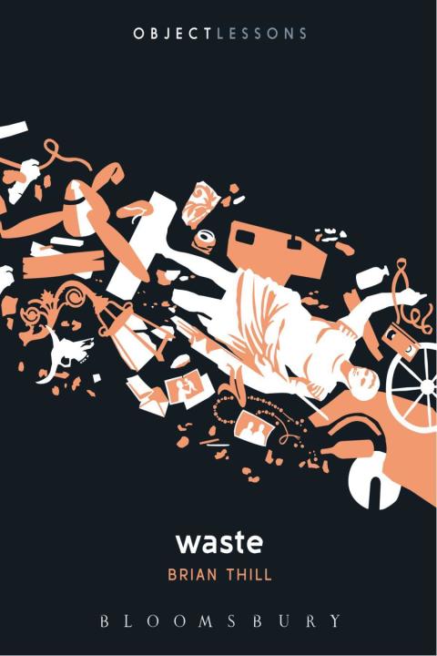 Cover image for book Waste