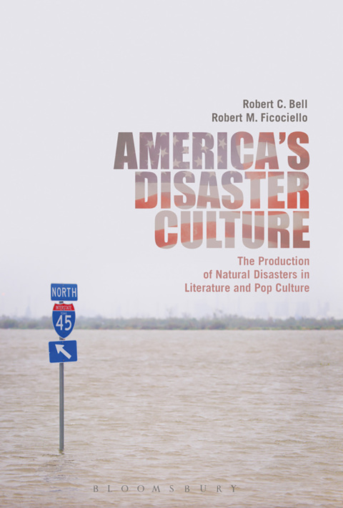 Cover image for book America's Disaster Culture