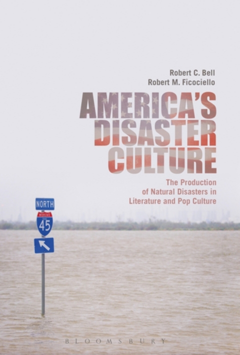 Cover image for book America's Disaster Culture