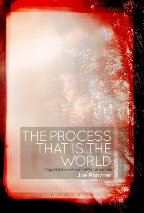 Cover image for book The Process That Is the World