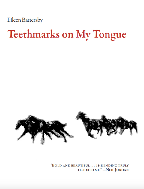Cover image for book Teethmarks on My Tongue