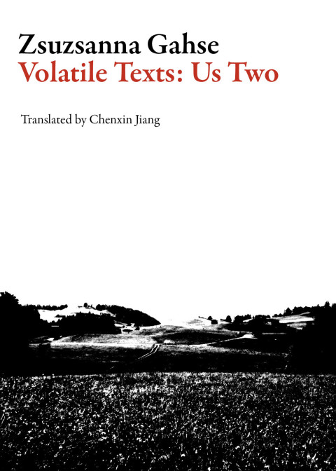 Cover image for book Volatile Texts: Us Two