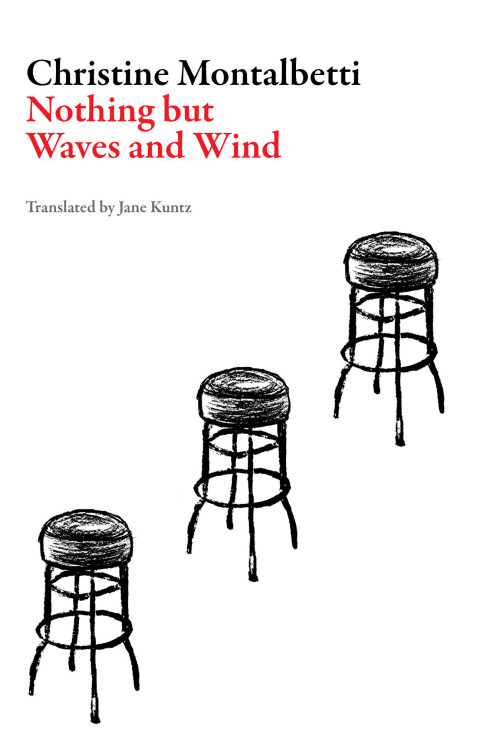 Cover image for book Nothing but Waves and Wind