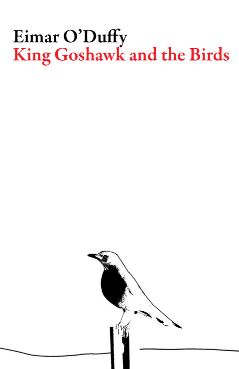 Cover image for book King Goshawk and the Birds