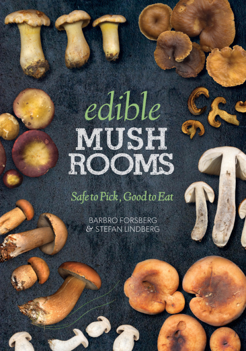 Cover image for book Edible Mushrooms