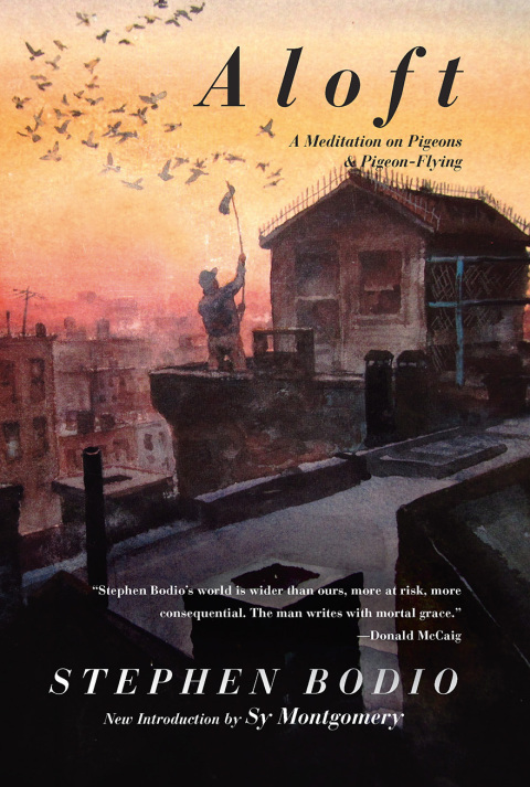 Cover image for book Aloft