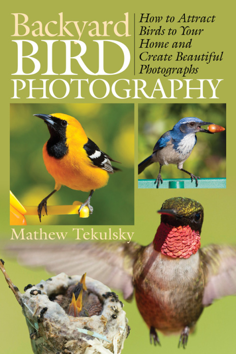 Cover image for book Backyard Bird Photography