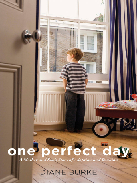 Cover image for book One Perfect Day