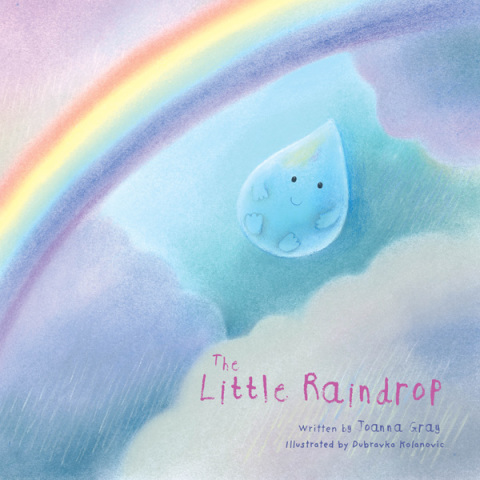 Cover image for book The Little Raindrop