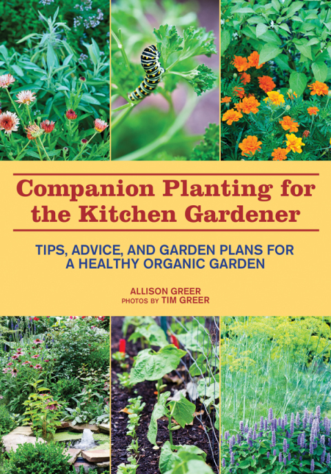 Cover image for book Companion Planting for the Kitchen Gardener