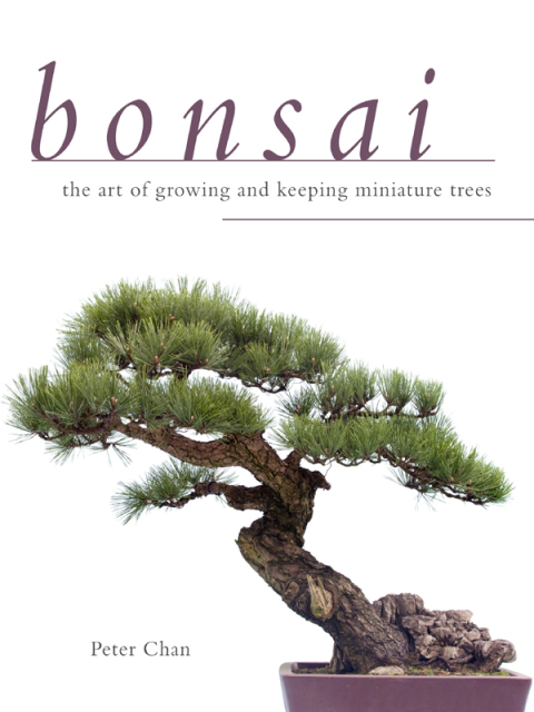 Cover image for book Bonsai