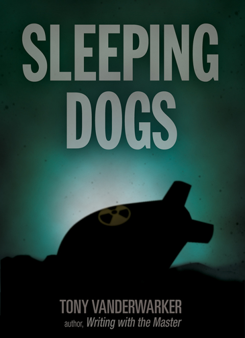 Sleeping Dogs 