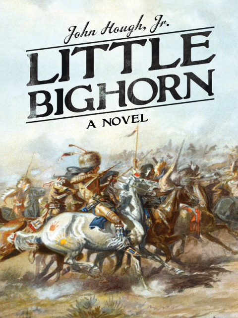 Cover image for book Little Bighorn