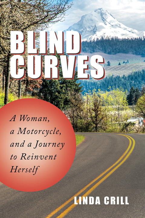 Cover image for book Blind Curves