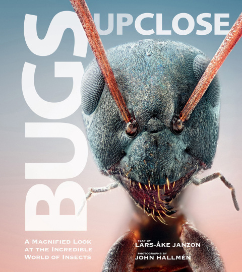 Cover image for book Bugs Up Close