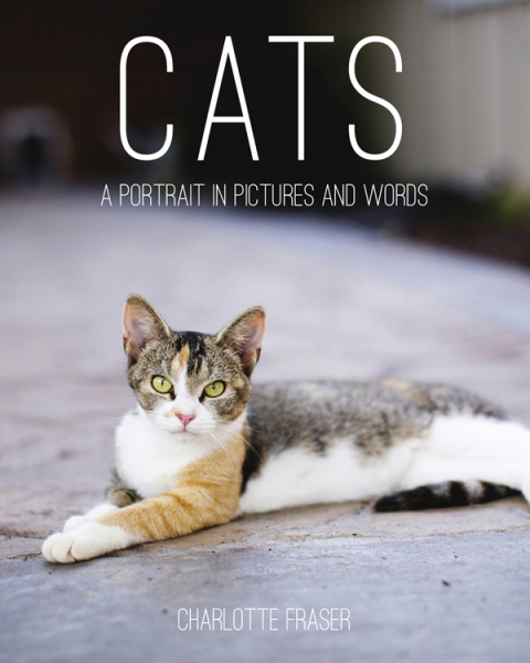 Cover image for book Cats