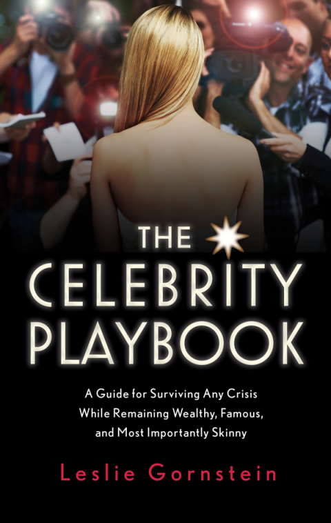Cover image for book The Celebrity Playbook