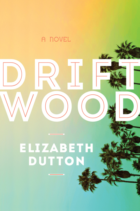 Cover image for book Driftwood
