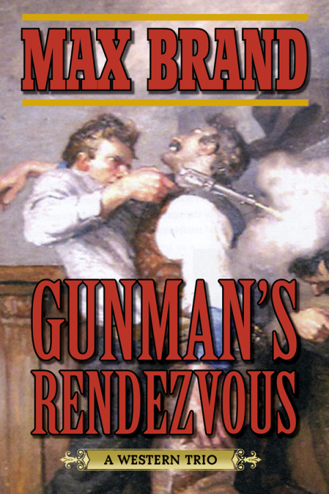 Cover image for book Gunman's Rendezvous