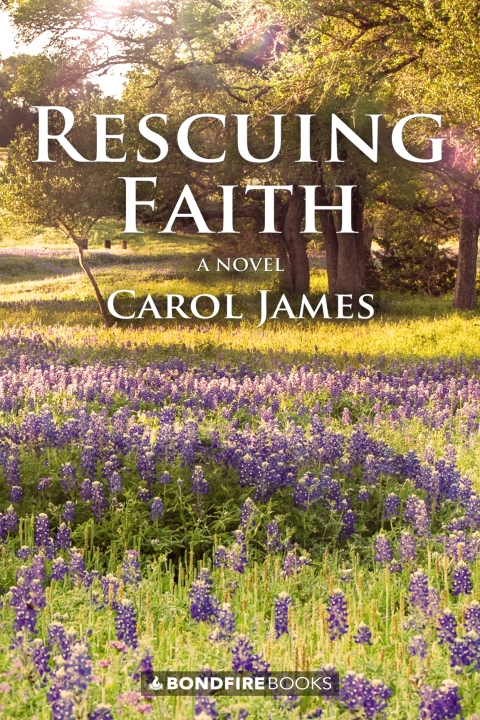 Cover image for book Rescuing Faith