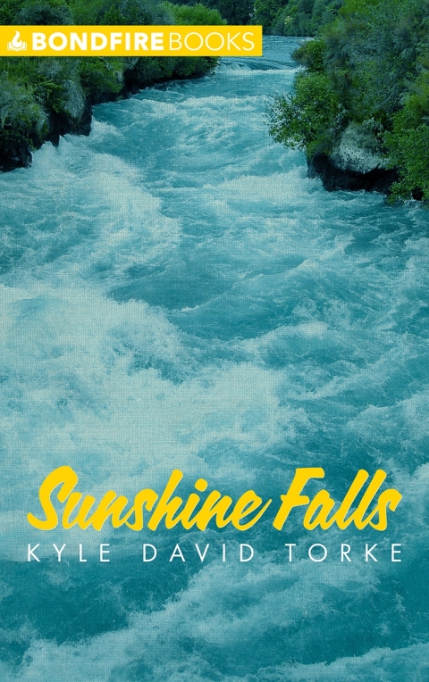 Cover image for book Sunshine Falls