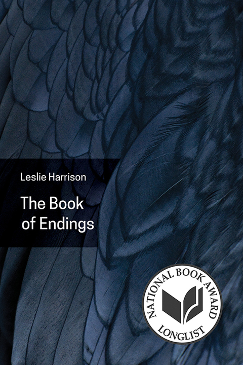 Cover image for book The Book of Endings