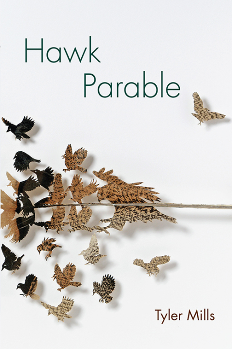 Cover image for book Hawk Parable