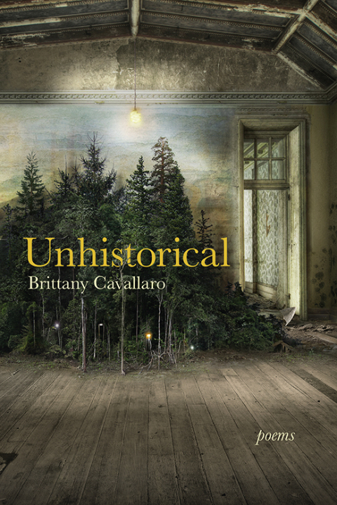 Cover image for book Unhistorical