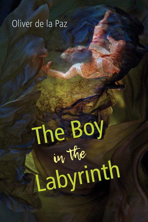 Cover image for book The Boy in the Labyrinth