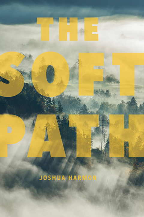 Cover image for book The Soft Path