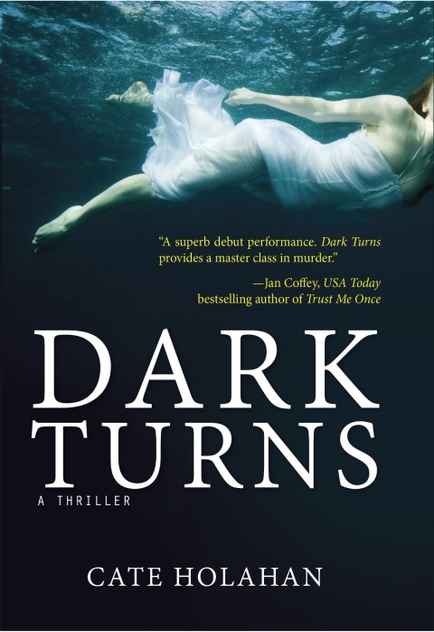 Cover image for book Dark Turns