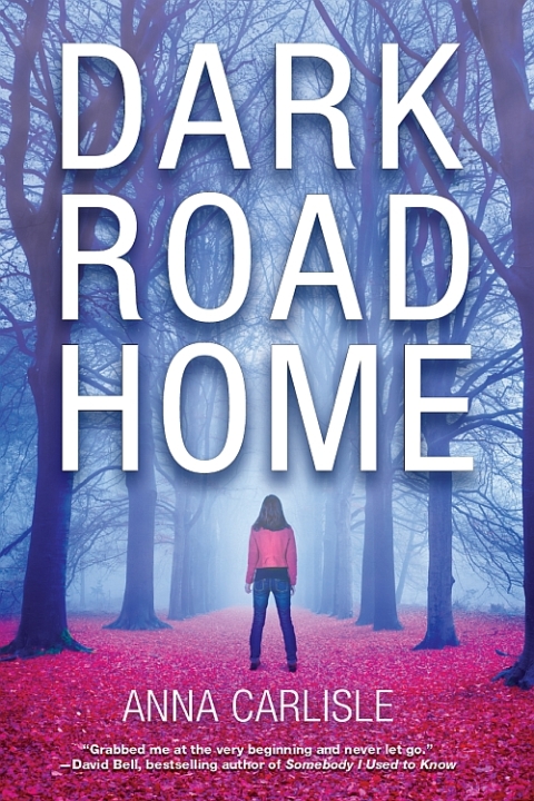 Cover image for book Dark Road Home
