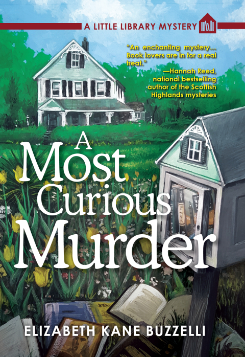 Cover image for book A Most Curious Murder