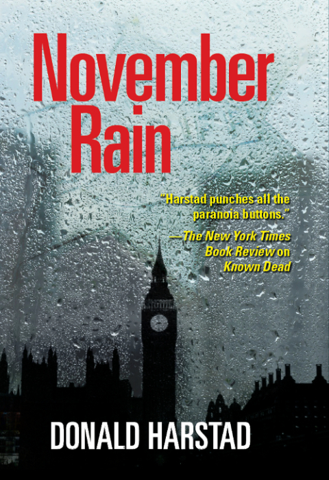 Cover image for book November Rain