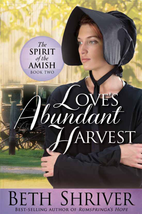 Cover image for book Love's Abundant Harvest