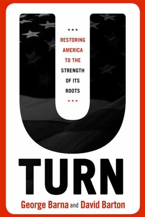 Cover image for book U-Turn