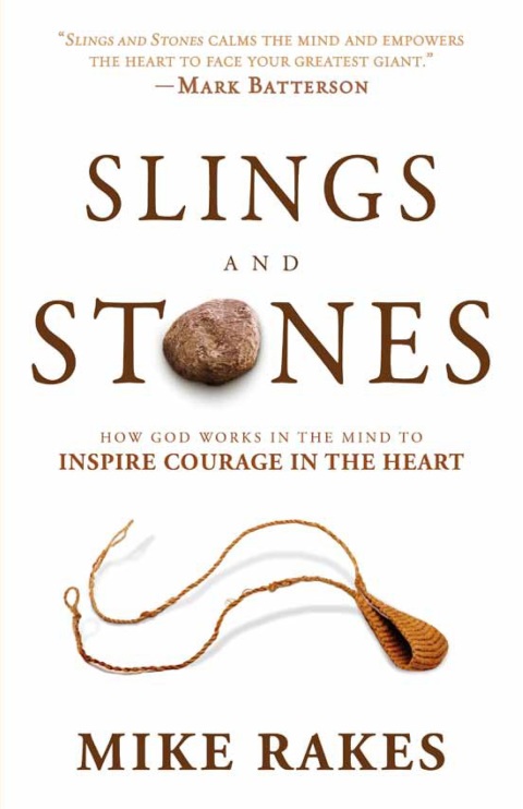 Cover image for book Slings and Stones